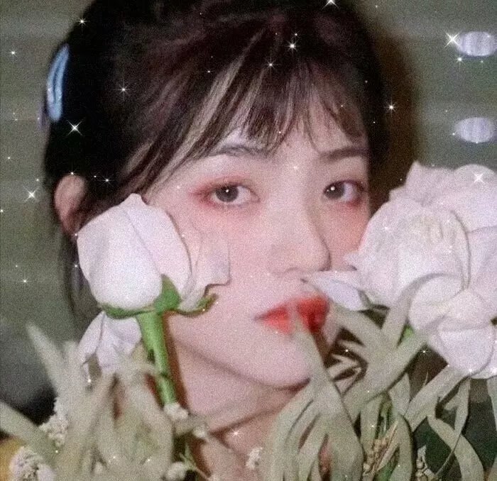 了不起的女侠