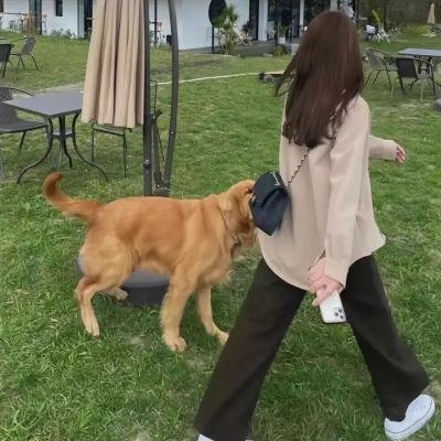 儿女亲事